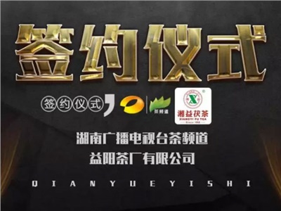 湘益茯，美茗揚(yáng) 丨湘益茯茶與茶頻道達(dá)成長期戰(zhàn)略合作