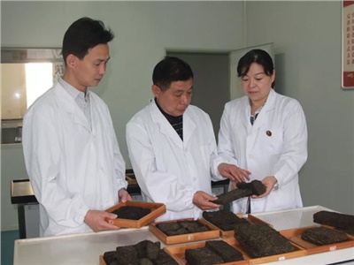 傳承茯茶非遺技藝、開拓創(chuàng)新引領(lǐng)行業(yè)發(fā)展