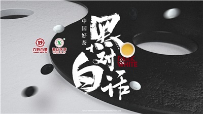首屆黑白對(duì)話高峰論壇圓滿落幕！湘益茯茶備受關(guān)注！
