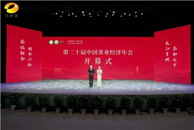 【聚焦第二十屆中國茶業(yè)經(jīng)濟(jì)年會(huì)】益陽茶廠榮獲“民族團(tuán)結(jié)互助企業(yè)”、“2024年度茶業(yè)重點(diǎn)企業(yè)”榮譽(yù)稱號